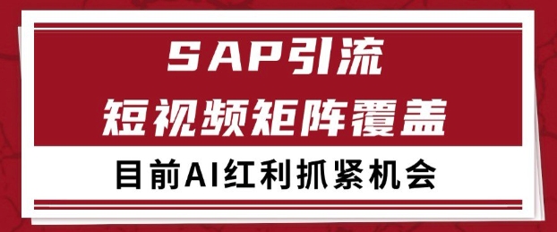 小红书某音sap赛道引流获客 自热矩阵日引200+【揭秘】——生财有道创业项目网-生财有道