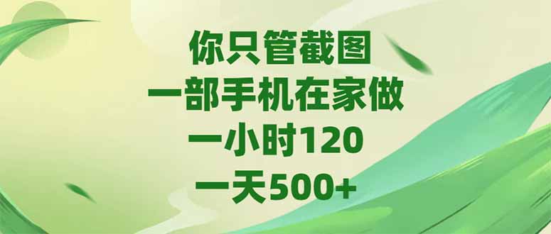（15039期）你只管截图，一部手机在家做，一小时120，-天500+_生财有道创业项目网-生财有道