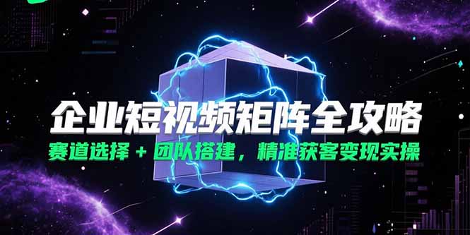 （15242期）企业短视频矩阵全攻略，赛道选择+团队搭建，精准获客变现实操_生财有道创业项目网-生财有道