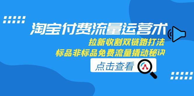 （15135期）淘宝付费流量运营术，拉新收割双链路打法，标品非标品免费流量撬动秘诀_生财有道创业项目网-生财有道