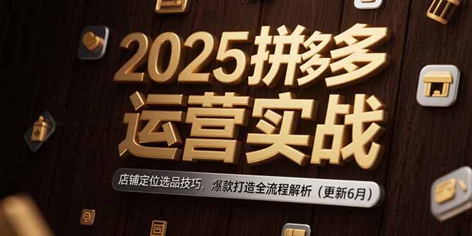 （15235期）2025拼多多运营实战：店铺定位选品技巧，爆款打造全流程解析（更新6月）_生财有道创业项目网-生财有道