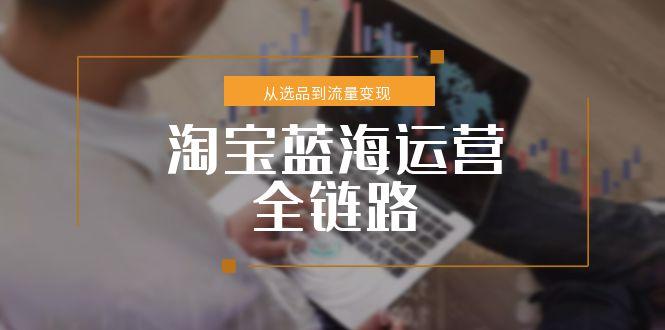 （15160期）淘宝蓝海运营全链路，从选品到流量变现，小类目突围完整方案_生财有道创业项目网-生财有道