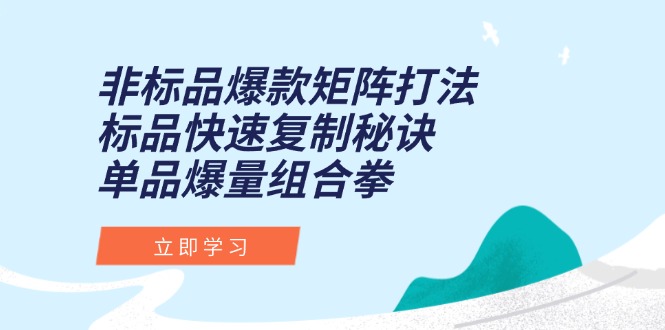 （15068期）非标品爆款矩阵打法，标品快速复制秘诀，单品爆量组合拳_生财有道创业项目网-生财有道