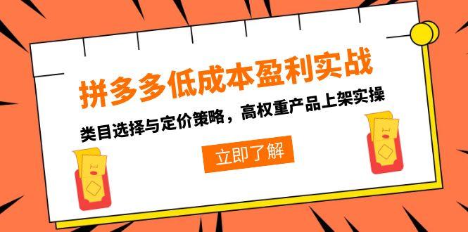 （15143期）拼多多低成本盈利实战，类目选择与定价策略，高权重产品上架实操_生财有道创业项目网-生财有道