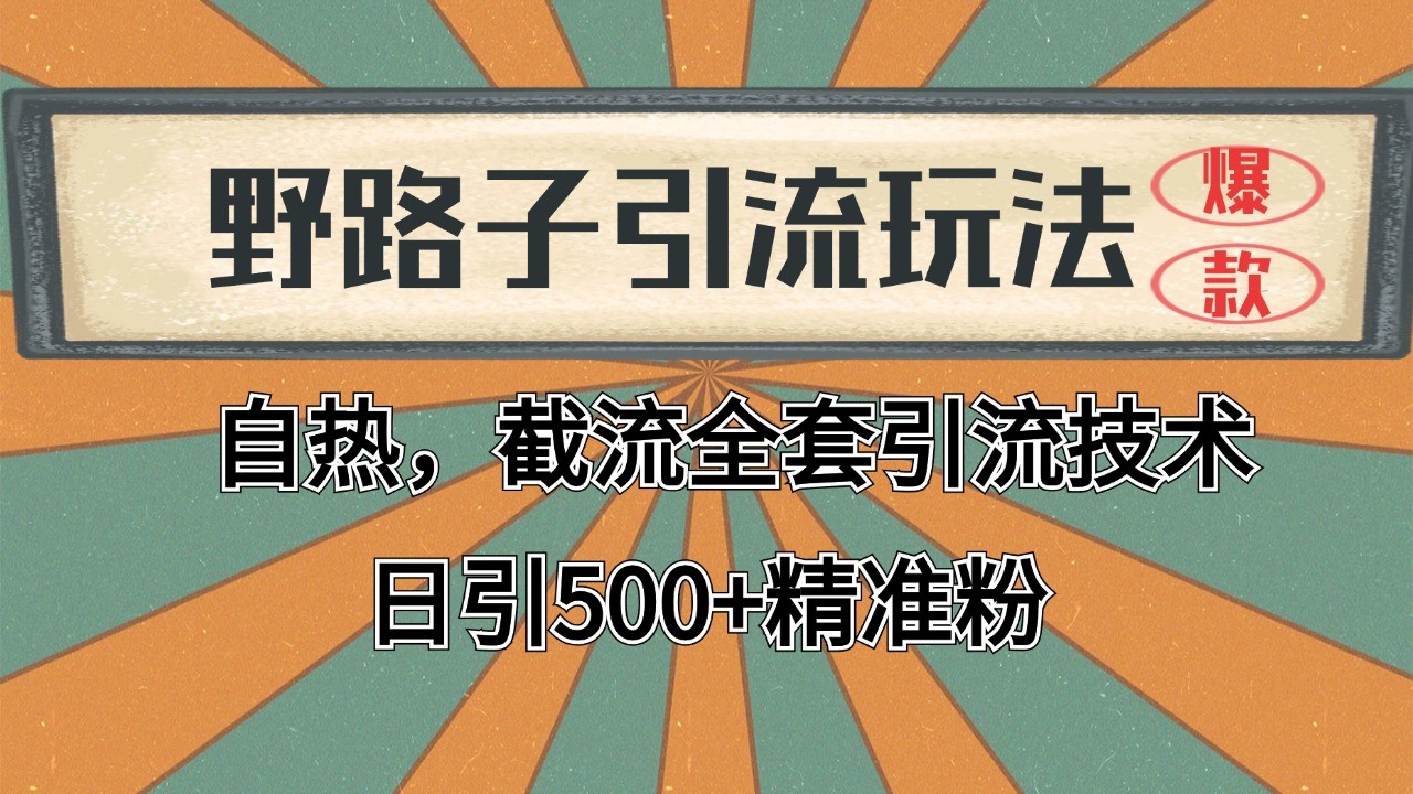 2024首发野路子引流玩法截流自热全平台打法，全自动引流【日引2000+精准客户】_生财有道创业网-生财有道