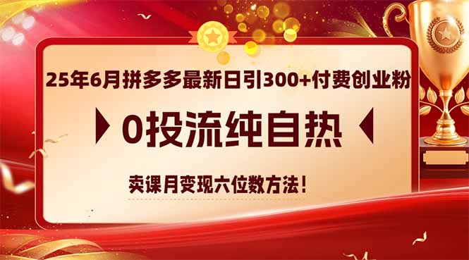 （14989期）25年6月拼多多最新日引300+付费创业粉，0投流纯自热 卖课月变现六位数方法_生财有道创业项目网-生财有道