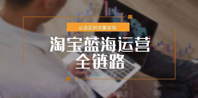 淘宝蓝海运营全链路，从选品到流量变现，小类目突围完整方案_生财有道创业网-生财有道