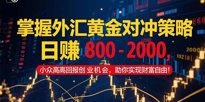 （15198期）掌握外汇黄金对冲策略，日赚 800 – 2000，小众高回报创业机会，助你实…_生财有道创业项目网-生财有道