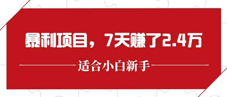 （15228期）最新暴利项目，每单收益轻松在300以上，7天赚了2.4万_生财有道创业项目网-生财有道