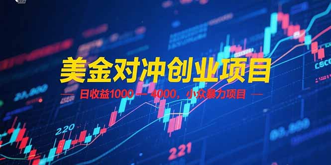 （15187期）美金对冲创业项目，日收益 1000 – 4000，小众暴力项目_生财有道创业项目网-生财有道