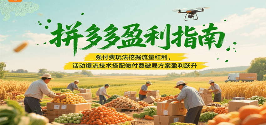 拼多多盈利指南：强付费玩法挖掘流量红利，活动爆流技术搭配微付费方案实现盈利跃升_生财有道创业网-生财有道