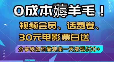 0成本薅羊毛!视频会员、话费卷、30元电影票白送，分享我如何靠转卖一天变现5张+【揭秘】——生财有道创业项目网-生财有道