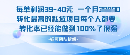 每单利润40一个月7k+转化最高的私域项目，每个人都要的产品转化率已经能做到100%——生财有道创业项目网-生财有道