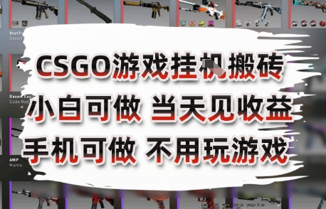 CSGO游戏挂G搬砖，小白纯手机即可操作，不用电脑打游戏，日入3张+，副业网创项目【揭秘】——生财有道创业项目网-生财有道