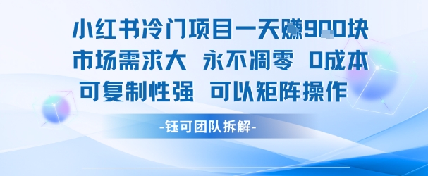 小红书冷门项目一天收益9张，市场需求大，0成本，可复制性强可以矩阵操作——生财有道创业项目网-生财有道