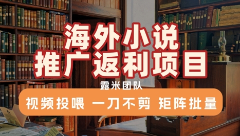 海外小说推广返利项目，视频投喂， 一刀不剪，矩阵批量——生财有道创业项目网-生财有道