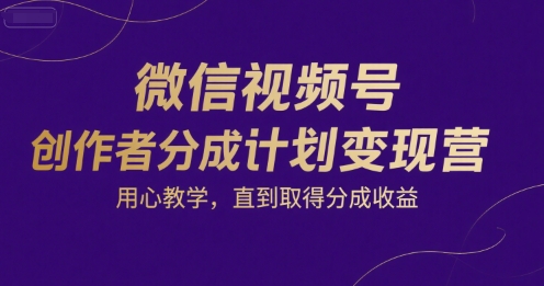 微信视频号创作者分成计划变现营，用心教学，直到取得分成收益——生财有道创业项目网-生财有道