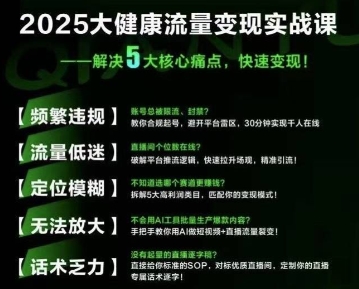 大健康流量全域新增长8.0，三月底线下课视频，大健康万亿蓝海，从类目突围到模式迭代——生财有道创业项目网-生财有道