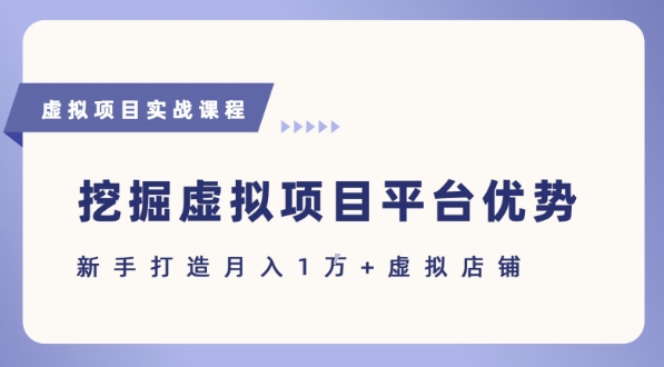 抓住虚拟项目各平台优势，新手轻松月入1W+(给出具体建议)——生财有道创业项目网-生财有道