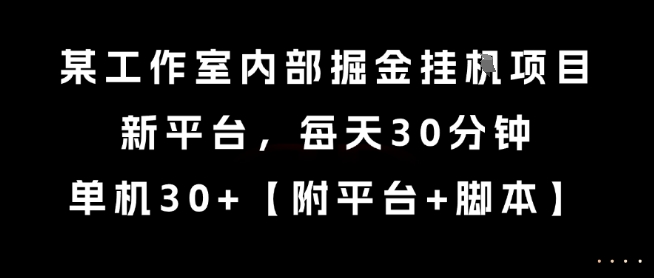 某工作室内部掘金挂G项目，新平台，每天30分钟，单机30+【揭秘】——生财有道创业项目网-生财有道