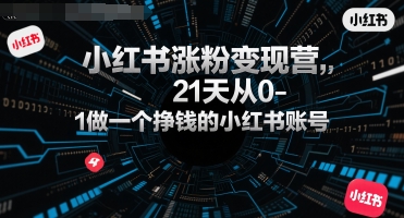 小红书涨粉变现营，21天从0-1做一个挣钱的小红书账号——生财有道创业项目网-生财有道