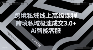 跨境私域线上高级课程，跨境私域极速成交3.0+Ai智能客服——生财有道创业项目网-生财有道
