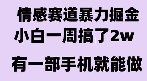 情感暴力掘金项目，新人操作一周挣了2W，长期稳定小白可做【揭秘】——生财有道创业项目网-生财有道