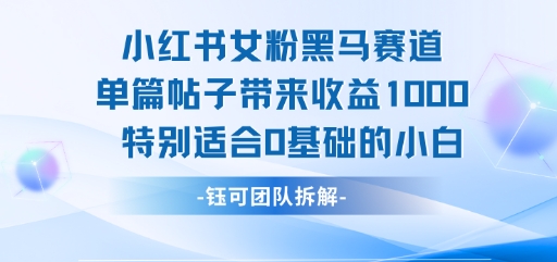 小红书女粉黑马赛道单篇帖子带来收益1k+，特别适合0基础的小白——生财有道创业项目网-生财有道