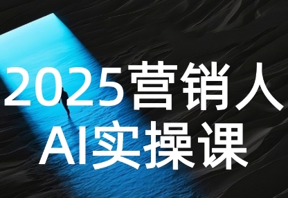 2025营销人Al实操课，AI营销抢跑实战，从Prompt到方案，效率碾压同行——生财有道创业项目网-生财有道