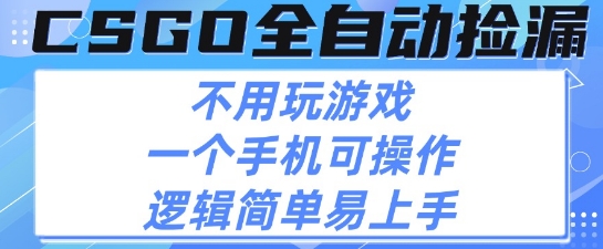 CSGO自动捡漏项目，最新独家玩法，不用挂G不用玩游戏，一个手机即可操作，新手小白轻松月入1W+【揭秘】——生财有道创业项目网-生财有道