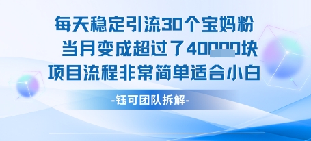 每天稳定引流30个人 当月变成超过了4个W项目流程非常简单适合小白——生财有道创业项目网-生财有道