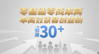 零基础零成本简单高效获客创业粉，一天引流30+——生财有道创业项目网-生财有道