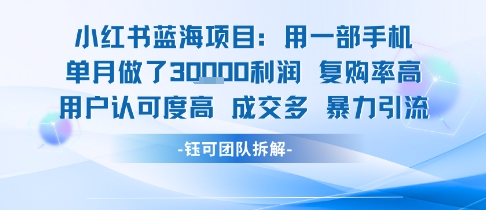 小红书蓝海项目，一部手机单月做了3W利润，小白也能月入过1W用户认可度高成交多——生财有道创业项目网-生财有道