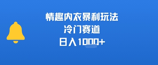 情趣内衣暴利玩法，冷门赛道，日入1k+——生财有道创业项目网-生财有道