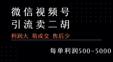 视频号卖二胡教程，利润大 易成交 售后少，一单利润5张+——生财有道创业项目网-生财有道