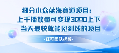 小众蓝海赛道项目：当天变现1k+适合新手操作 +适合长期玩——生财有道创业项目网-生财有道