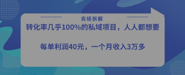 转化率最高的私域项目，每单利润40-50米，月入过1w——生财有道创业项目网-生财有道