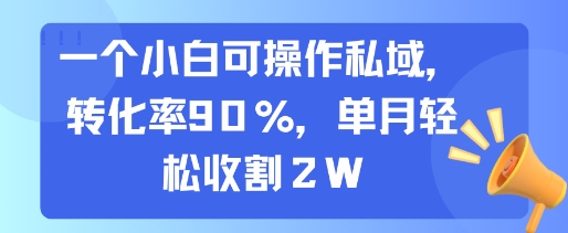 一个小白可操作私域，转化率90%，单月轻松收割2W——生财有道创业项目网-生财有道