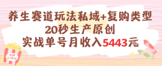 养生赛道玩法私域+复购类型，20秒生产原创实战单号月收入5k+——生财有道创业项目网-生财有道