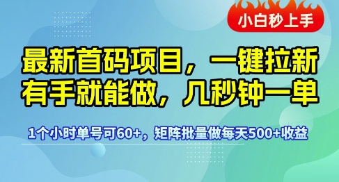 最新首码项目，一键拉新有手就能做，几秒钟一单，1个小时单号可60+，矩阵批量做每天5张【揭秘】——生财有道创业项目网-生财有道