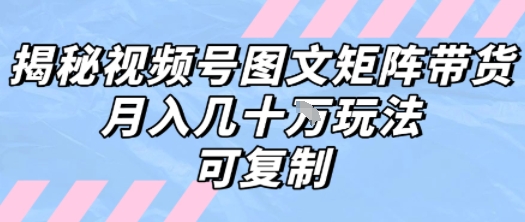 解密视频号图文矩阵带货，月入几个W的打法，可复制——生财有道创业项目网-生财有道