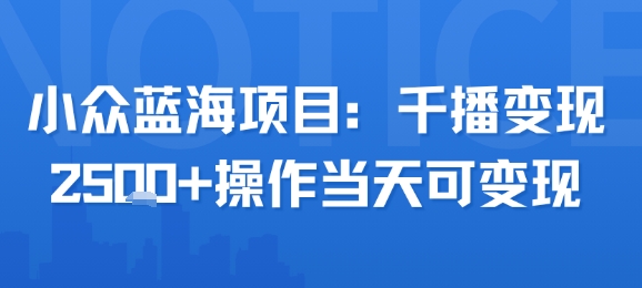 小众蓝海项目，千播变现2.5k+操作当天可变现——生财有道创业项目网-生财有道