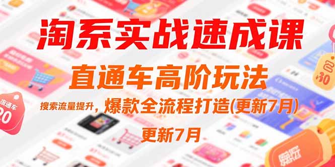（15374期）淘系实战速成课，直通车高阶玩法，搜索流量提升，爆款全流程打造(更新7月)_生财有道创业项目网-生财有道