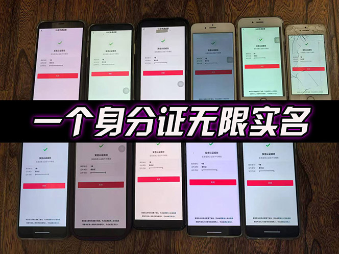 （15533期）2025最新dy无限注册、无限实名、0粉开播技术，风口技术预学从速_生财有道创业项目网-生财有道