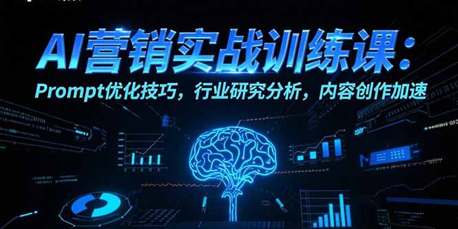 （15465期）AI营销实战训练课：Prompt优化技巧，行业研究分析，内容创作加速_生财有道创业项目网-生财有道