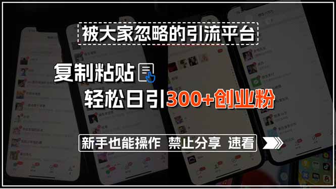 （15428期）被大家忽略的引流平台，复制粘贴轻松日引300+创业粉，新手也能操作，禁…_生财有道创业项目网-生财有道
