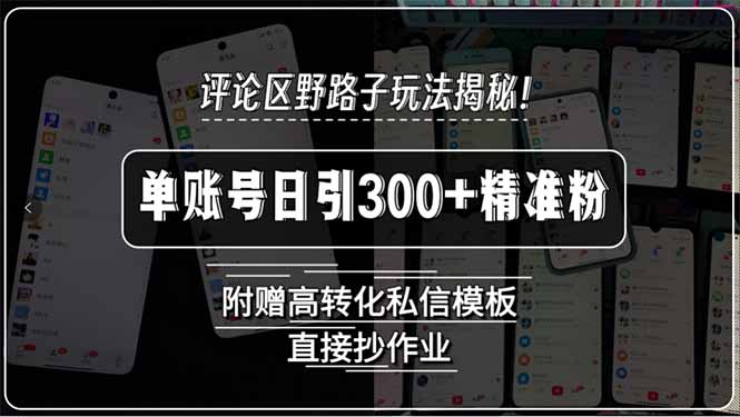 （15466期）评论区野路子玩法揭秘！单账号日引300+精准粉，附赠高转化私信模板，直…_生财有道创业项目网-生财有道