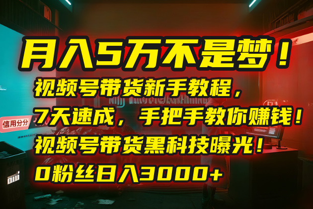 （15595期）月入5万不是梦！视频号带货新手教程，7天速成，手把手教你赚钱！视频号…_生财有道创业项目网-生财有道