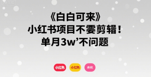 小白可来 小红书项目不需要剪辑 单月3w不是问题——生财有道创业项目网-生财有道