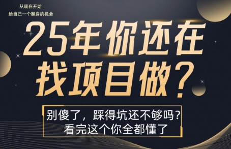 25年，你还在疯狂的找项目吗？别傻了，看完这个你都懂了【揭秘】——生财有道创业项目网-生财有道